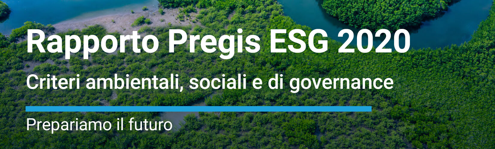 Report ESG Pregis 2020
