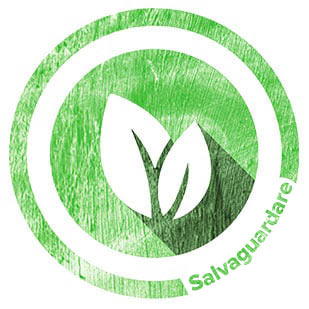 Salvaguardare